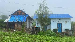 Very Relaxing Nepali Mountain Village Life in the Rain Day  Simple Village Life Vlog  BijayaLimbu