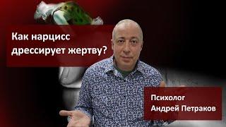 Как нарцисс «дрессирует» жертву