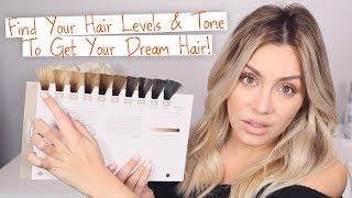 Find Your Hair Level & Tone - To get Your dream hair 