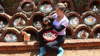 Make nests for egg laying chickens with red bricks and cement -  harvest chicken eggs