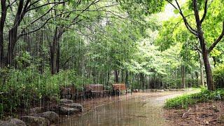 Soft sound of rain in the forest  Deep sleep relaxation stress relief  white noise rain sound