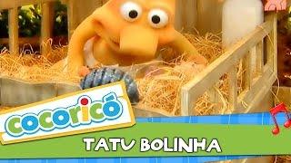 Videoclipe - Tatu Bolinha