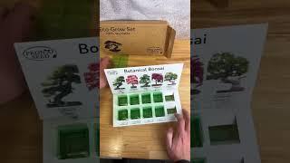 Grow your own Bonsai Trees with our Eco Grow Kit #asmr #shorts