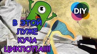 В ЭТОЙ ЛУЖЕ КУЧА ЦИКЛОПА ЛОВЛЯ ЦИКЛОПА ДЛЯ РЫБОК  ЦИКЛОП ПОД МИКРОСКОПОМ #АКВАМЕН #СВОИМИ_РУКАМИ