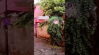 #shorts #short #shortvideo #shortsvideo #türkiye #antalya #rainyday #raining #kaleiçi