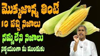 Corn  మొక్కజొన్న తింటే 10 పచ్చి నిజాలు   నమ్మలేని నిజాలు   Dr Manthena Satyanarayana Raju