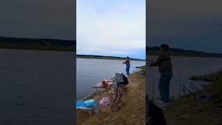 С такой ПЛОТВОЙ и ЛЕЩ не нужен Russian fishing #shorts