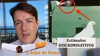 Aprende lo que son los ESTÍMULOS DISCRIMINATIVOS para DEJAR DE FUMAR