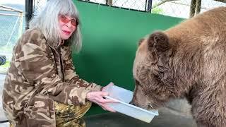 Rita Lee visita a ursa Rowena e depois escreve o livro Amiga Ursa