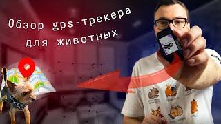 Умный обзор GPS-трекер