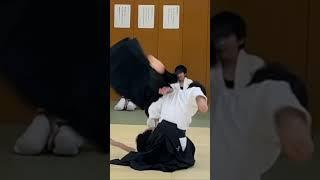 Amazing Thrown like a manipulated doll The Beautiful and Dangerous Technique of Aikido Master