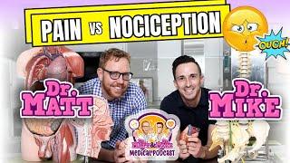 Pain vs. Nociception  Podcast