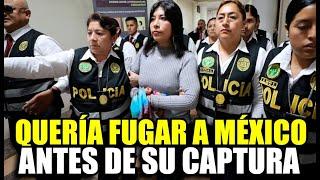 BESSY CHAVEZ INTENTO IR HACIA LA EMBAJADA DE  MEXICO TRAS GOLPE DE ESTADO SEGUN RESOLUCION JUDICIAL