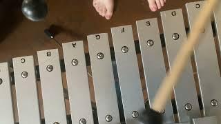Ho play Amazing Grace for xylophone