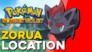 Pokemon Scarlet & Violet Zorua Location