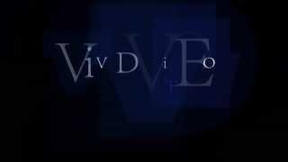 vivid video production