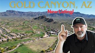 Gold Canyon SECRET This Gated Townhome No Age Restriction Will Blow You Away