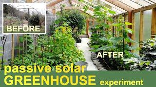 We built a passive solar GREENHOUSE  Here’s what happened