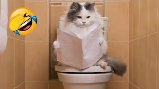 New Funniest Dogs and Cats Videos - Funny Animal Videos 2023#6