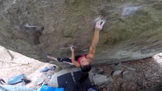 Nina Williams Speed of Life V10