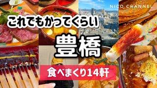 【豊橋】グルメ！元地元民がオススメする14軒食べ歩きガイド️ローカル飯、老舗、B級、ランチ、居酒屋