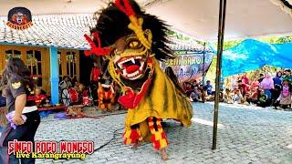 TERBARU BARONGAN SINGO ROGO WONGSO NGAMUK DI UBALAN KARANGRAYUNG BARONGAN GALAK KESURUPAN