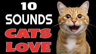 10 Sounds Cats Love To Hear The Most