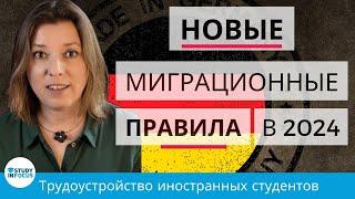 Трудоустройство в Германии обзор новых правил для иностранных студентов с 2024 года