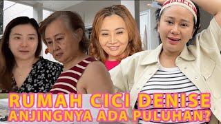 GREBEK RUMAH CICI DENISE