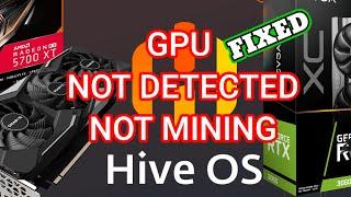 GPU NOT DETECTED NOT MINING AMDNVIDIA ON HIVEOS T-REX MINER TEAMREDMINER FIXED.