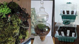 Spring Seed Starting and Terrariums