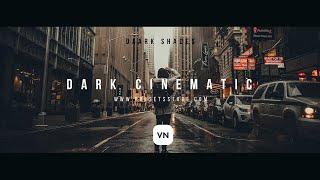 Professional Dark Cinematic LUT for VN  Premier Pro  DaVinci Resolve  Download Free