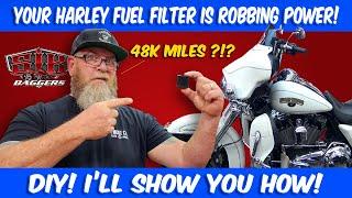 Change Your Harley Davidson Fuel Filter Like A Pro