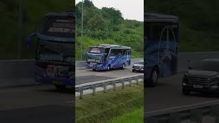 Bus Pandawa 87 #bus #automobile #busmania #basuri #busholic