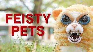 Feisty Pets from ThinkGeek