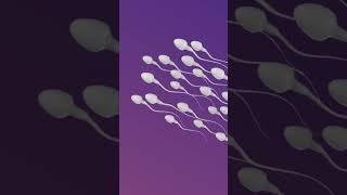 IUI Treatment for Pregnancy