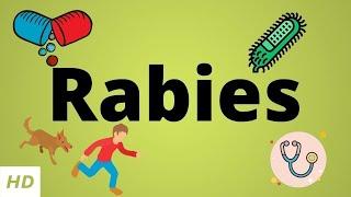 Rabies Causes SIgn and Symptoms Diagnosis and Treatment.