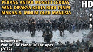 PERANG ANTAR MANUSIA MELAWAN MONYET CERDAS - Alur Film War Of The Planet Of The Apes 2017