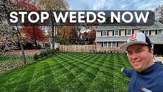 Kick-Off The Lawn Season Right With THIS Application & STOP Weeds