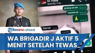 Terungkap WhatsApp Brigadir J Aktif 5 Menit setelah Tewas Keluarga Pertanyakan Siapa yang Buka