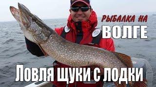 Рыбалка на Волге. Ловля щуки с лодки