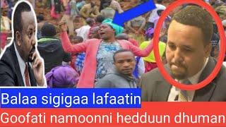 ODUU gadaa Goofati balaa sigigaa lafaatin namooni 500 ol duan