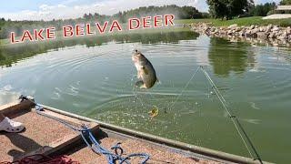 Bass Fishing at Lake Belva Deer- Iowa Fishing