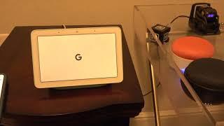 Weekly Review - Google Home Hub New Addition