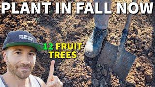 Dont Wait For Spring These 12 Fruit Trees Should Be Planted In Fall NOW