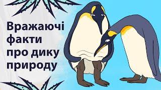 Маловідомі факти про тварин  Реддіт українською
