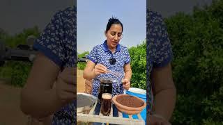 फसलों को पिलाओ यह जूसभरपूर फूल फल लगेंगे  humic acid #juice #youtube #trending #kisan #shorts