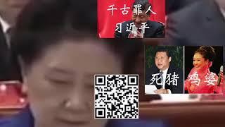 习包子七宗罪（终极版）