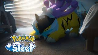 Pokémon Sleep - Raikou Entei and Suicune are coming to Pokémon Sleep
