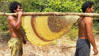 Primitive Technology Harvest Beehive and Honey by Brave Bushmen